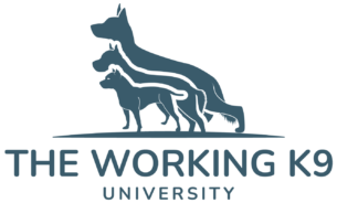 The Working K9 University